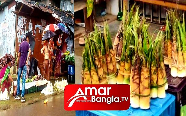 রাঙ্গামাটি কাপ্তাইয়ে সংরক্ষিত বনাঞ্চল থেকে হারিয়ে যাচ্ছে বাঁশ